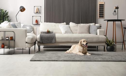 Pet Friendly Flooring