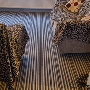 Carpet Nottingham Stripe 